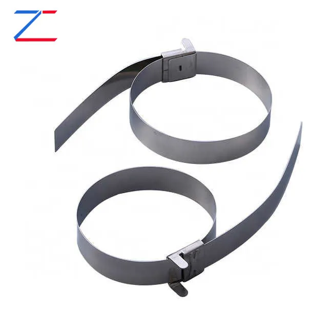 Matibay ba ang ordinaryong hindi kinakalawang na asero na cable ties? Pagsusuri ng kanilang mga pakinabang at disadvantages