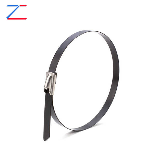 Bakit Pumili ng Coated Stainless Steel Cable Ties?